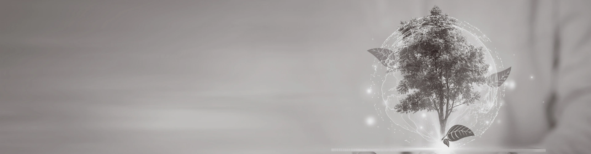 bg_image
